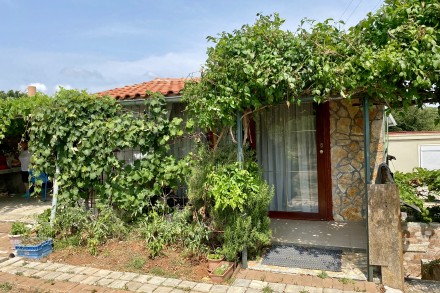 COTTAGE IN THE OLIVE GROVE: ONLY 2 KM FROM NOVIGRAD AND THE SEA! (01378)